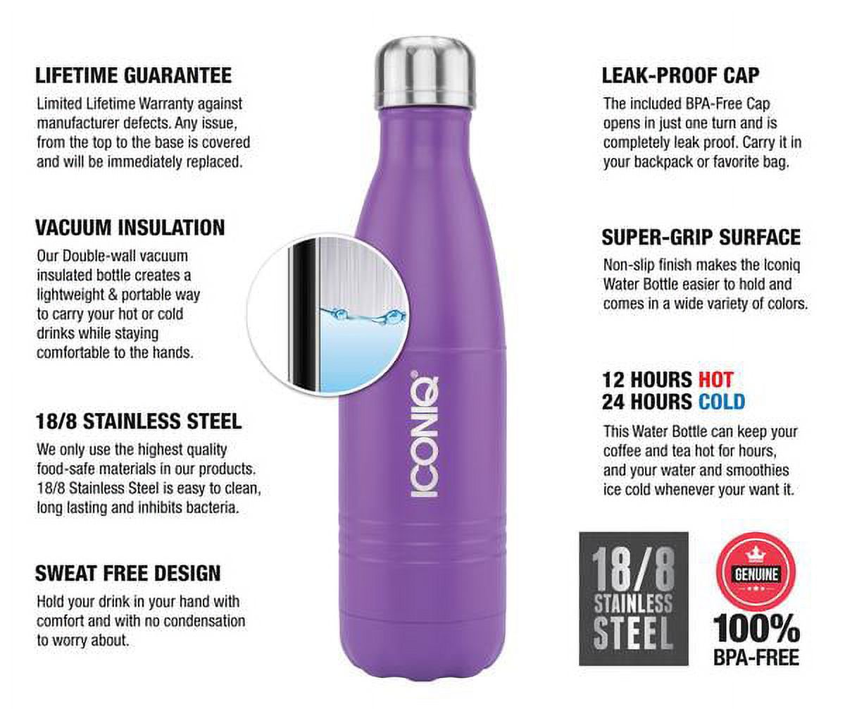 17oz Stainless Steel Vacuum Insulated Water Bottle B254315