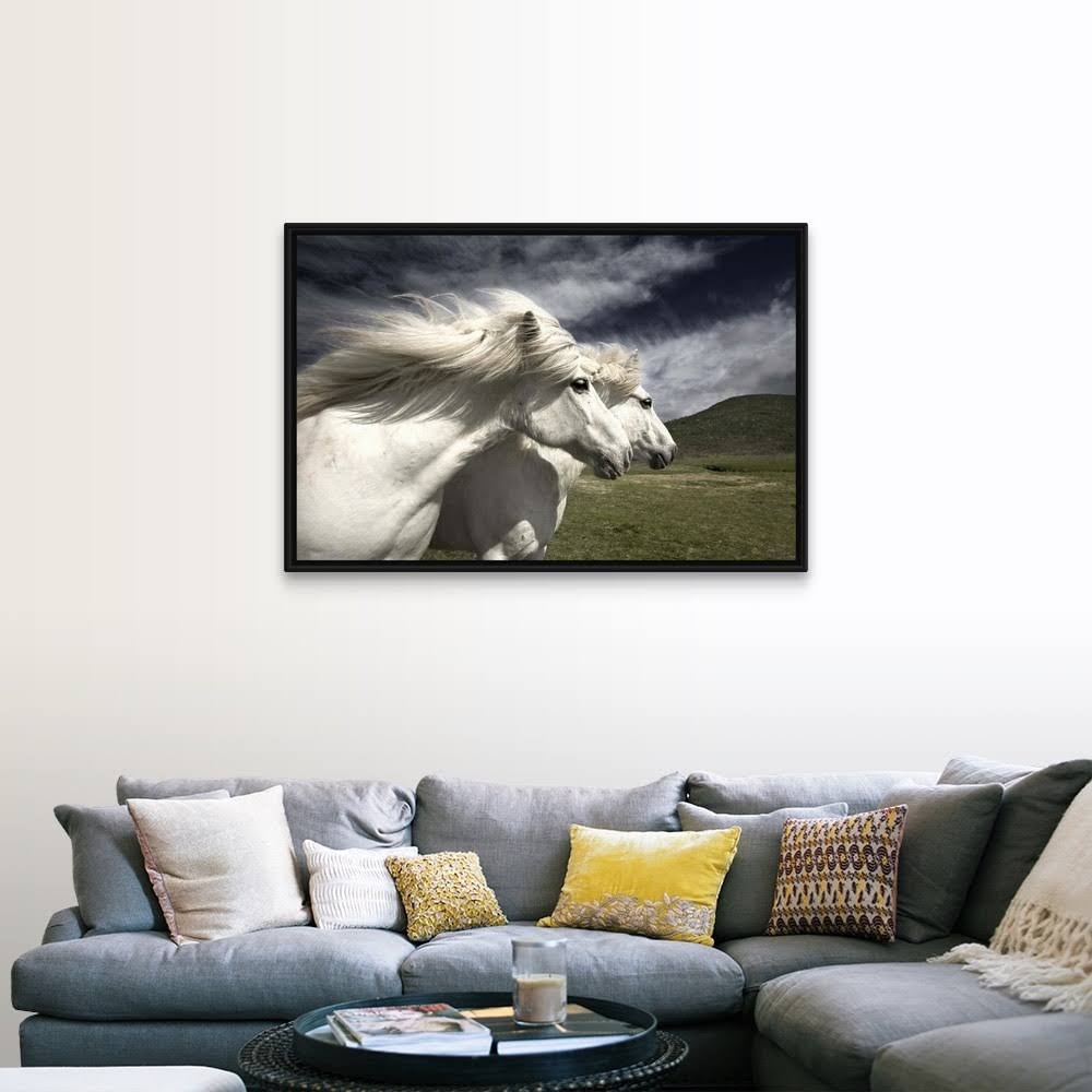 Black Float Frame Canvas Art - 48 x 32 V1566