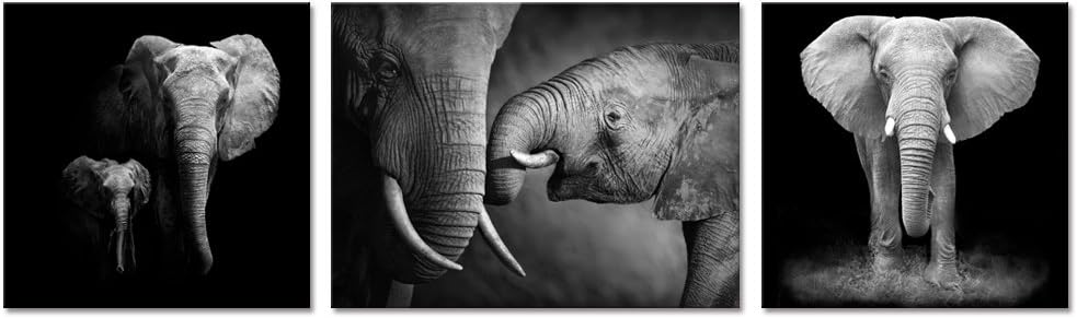 Black and White Elephant Canvas Wall Art Prints, Ready to Hang M21311
