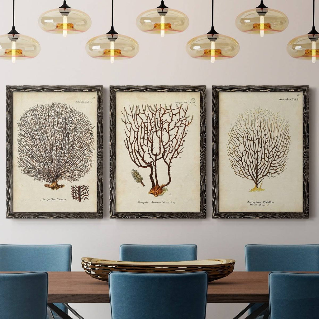 Framed Canvas Multi-Color 18x24 N3673
