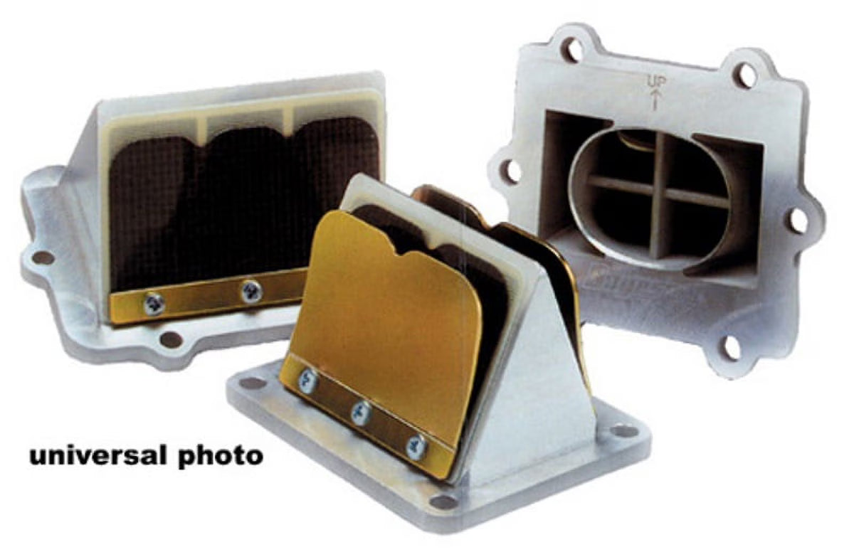 Rage Cage Reed System for Snowmobile W98958
