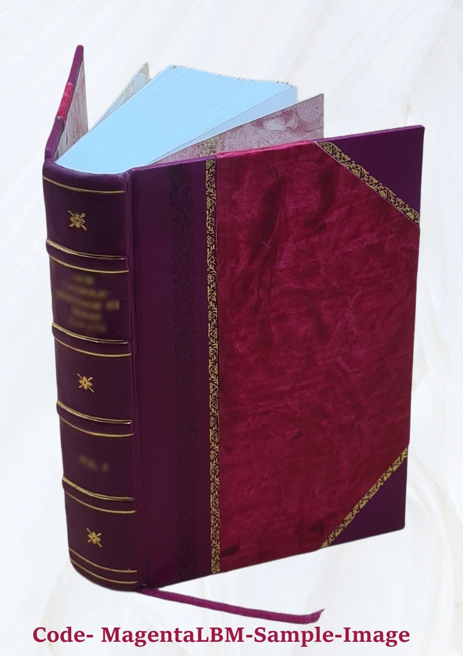 Abridged narrative of travels through the interior of South America Z454