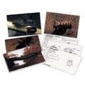 Macroinvertebrate Identification Card Set S204930