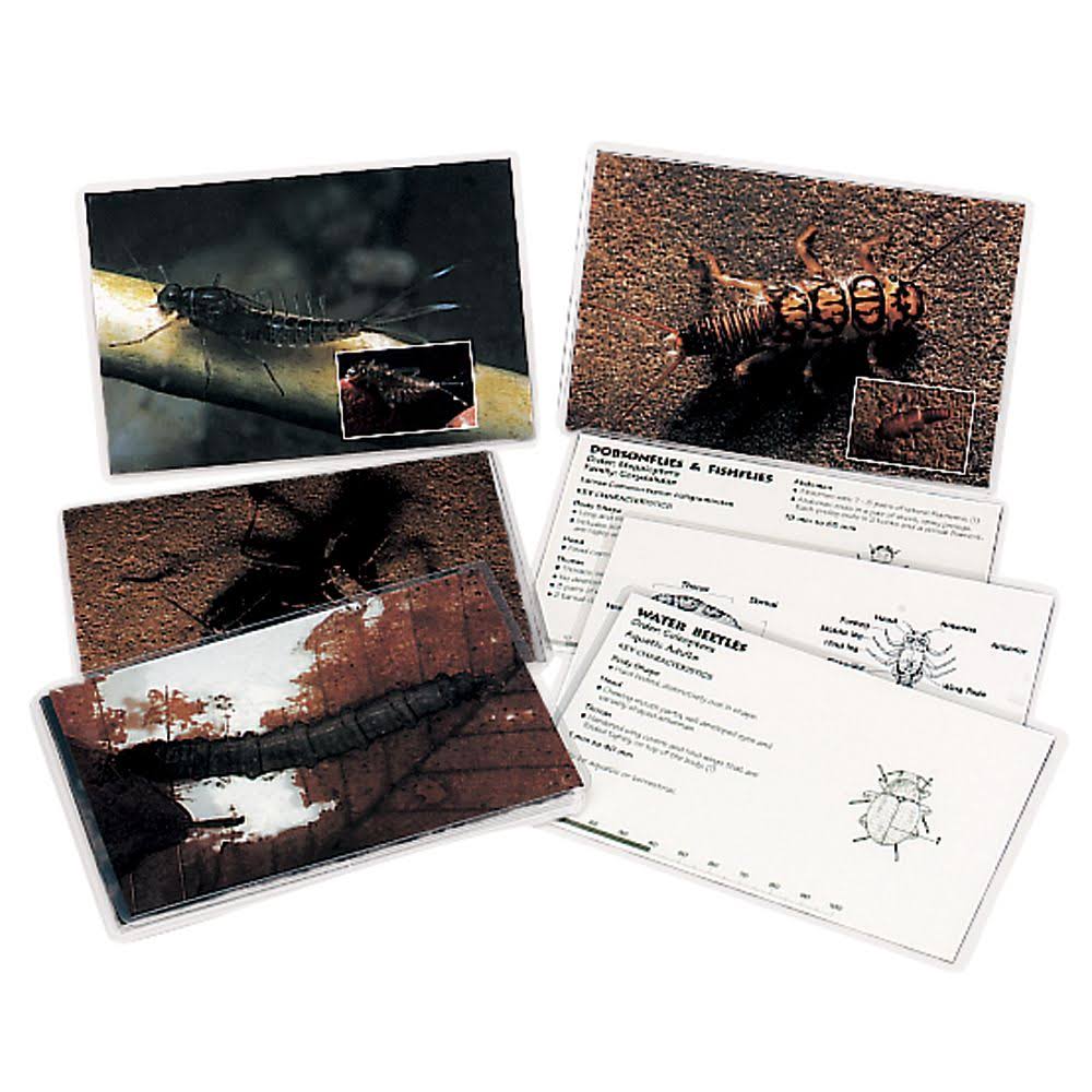 Macroinvertebrate Identification Card Set S204930