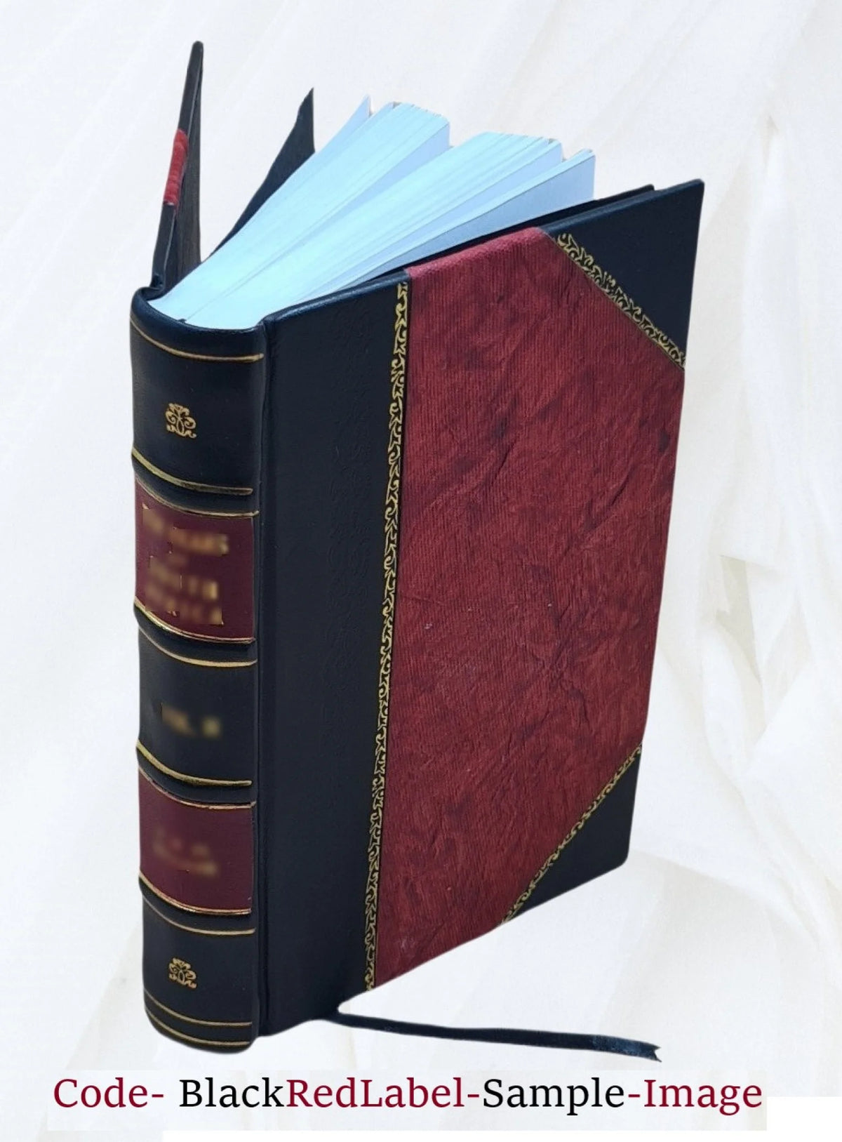 Leather Bound Book D110