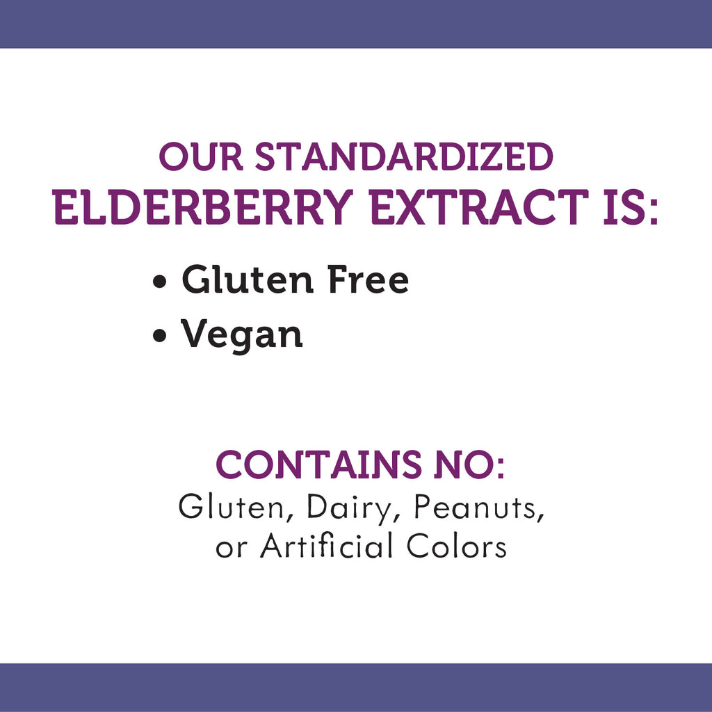 Sugar-Free Elderberry Syrup, 4 fl oz B100