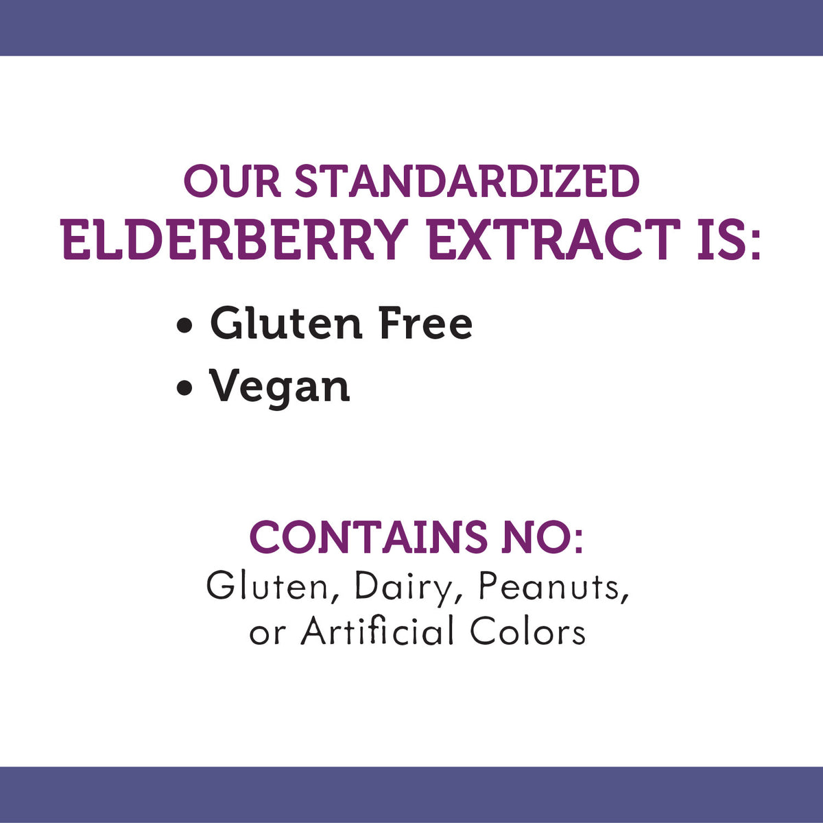 Sugar-Free Elderberry Syrup, 4 fl oz B100