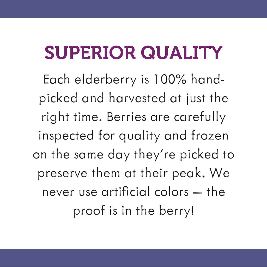 Sugar-Free Elderberry Syrup, 4 fl oz B100
